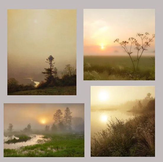 [Виталий Антипин] 4 состояния света (2025)_0.jpg